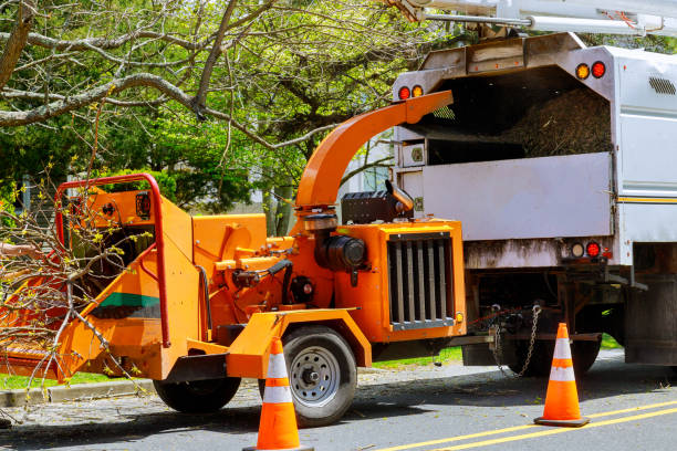 Best Utility Line Clearance  in Delavan Lake, WI